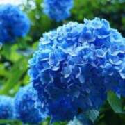 ヒメ日記 2025/06/30 09:09 投稿 ふみ 待ちナビ