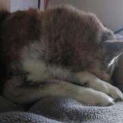 ヒメ日記 2025/07/08 10:06 投稿 ふみ 待ちナビ