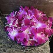 ヒメ日記 2025/07/09 21:37 投稿 ふみ 待ちナビ