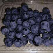 ヒメ日記 2025/07/15 16:42 投稿 ふみ 待ちナビ