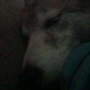 ヒメ日記 2025/07/16 15:08 投稿 ふみ 待ちナビ