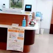 ヒメ日記 2025/07/22 09:36 投稿 ふみ 待ちナビ