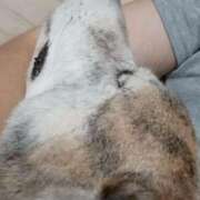 ヒメ日記 2025/07/24 14:15 投稿 ふみ 待ちナビ