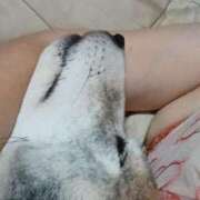 ヒメ日記 2025/07/31 21:55 投稿 ふみ 待ちナビ