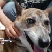 ヒメ日記 2025/08/01 16:15 投稿 ふみ 待ちナビ