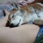 ヒメ日記 2025/08/01 23:27 投稿 ふみ 待ちナビ