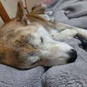 ヒメ日記 2025/08/03 08:10 投稿 ふみ 待ちナビ