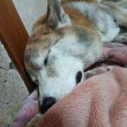 ヒメ日記 2025/08/20 22:19 投稿 ふみ 待ちナビ