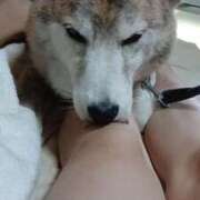 ヒメ日記 2025/09/08 14:27 投稿 ふみ 待ちナビ