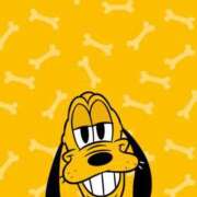 ヒメ日記 2025/01/06 03:45 投稿 藤沢なる コウテイ