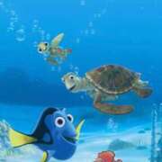 ヒメ日記 2025/01/13 12:19 投稿 藤沢なる コウテイ