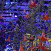 ヒメ日記 2025/03/25 18:47 投稿 藤沢なる コウテイ