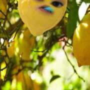 ヒメ日記 2025/04/04 10:53 投稿 藤沢なる コウテイ