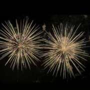 ヒメ日記 2025/04/09 09:33 投稿 藤沢なる コウテイ