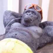 ヒメ日記 2025/06/09 17:03 投稿 藤沢なる コウテイ