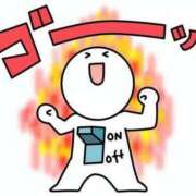 ヒメ日記 2025/06/17 07:05 投稿 藤沢なる コウテイ