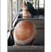 ヒメ日記 2025/06/30 20:26 投稿 藤沢なる コウテイ