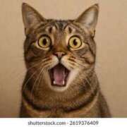 ヒメ日記 2025/07/01 16:01 投稿 藤沢なる コウテイ