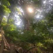 ヒメ日記 2025/07/06 14:33 投稿 藤沢なる コウテイ