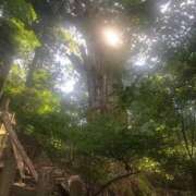 ヒメ日記 2025/07/06 14:48 投稿 藤沢なる コウテイ