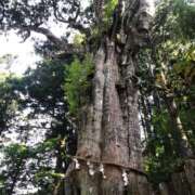 ヒメ日記 2025/07/07 12:30 投稿 藤沢なる コウテイ