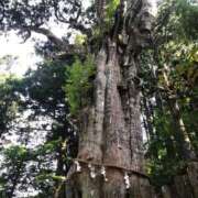 ヒメ日記 2025/07/07 12:47 投稿 藤沢なる コウテイ