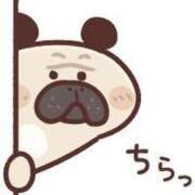 ヒメ日記 2025/07/07 17:17 投稿 藤沢なる コウテイ