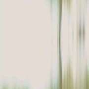 ヒメ日記 2025/07/07 19:16 投稿 藤沢なる コウテイ