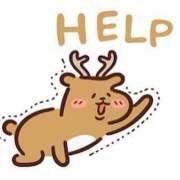 ヒメ日記 2025/07/08 19:33 投稿 藤沢なる コウテイ