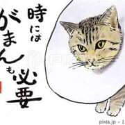 ヒメ日記 2025/07/10 07:02 投稿 藤沢なる コウテイ