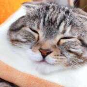 ヒメ日記 2025/07/14 21:01 投稿 藤沢なる コウテイ