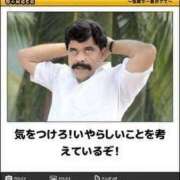 ヒメ日記 2025/07/15 11:40 投稿 藤沢なる コウテイ