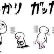 ヒメ日記 2025/08/12 14:00 投稿 藤沢なる コウテイ