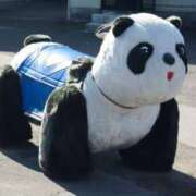 ヒメ日記 2025/08/13 17:25 投稿 藤沢なる コウテイ