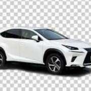 ヒメ日記 2025/08/14 08:30 投稿 藤沢なる コウテイ