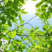 ヒメ日記 2025/08/25 21:45 投稿 藤沢なる コウテイ