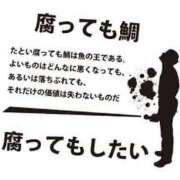 ヒメ日記 2025/09/15 06:50 投稿 藤沢なる コウテイ