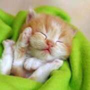 ヒメ日記 2025/09/17 23:45 投稿 藤沢なる コウテイ