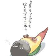 ヒメ日記 2025/09/25 09:21 投稿 藤沢なる コウテイ