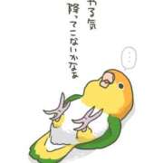 ヒメ日記 2025/09/29 17:45 投稿 藤沢なる コウテイ