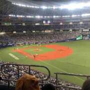 ヒメ日記 2025/10/04 00:05 投稿 藤沢なる コウテイ