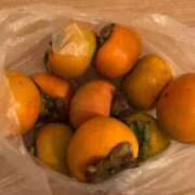 ヒメ日記 2025/10/08 14:38 投稿 藤沢なる コウテイ