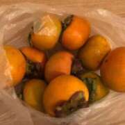 ヒメ日記 2025/10/08 14:46 投稿 藤沢なる コウテイ