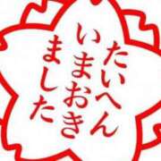 ヒメ日記 2025/10/16 06:53 投稿 藤沢なる コウテイ