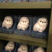 ヒメ日記 2025/10/21 22:15 投稿 藤沢なる コウテイ