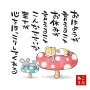 ヒメ日記 2025/11/05 07:01 投稿 藤沢なる コウテイ