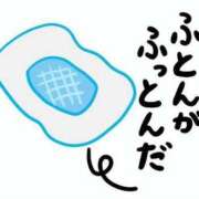 ヒメ日記 2025/11/27 11:37 投稿 藤沢なる コウテイ