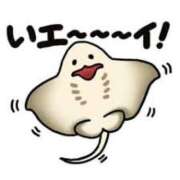 ヒメ日記 2025/12/03 08:01 投稿 藤沢なる コウテイ