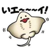 ヒメ日記 2025/12/03 08:15 投稿 藤沢なる コウテイ