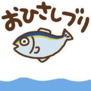 ヒメ日記 2025/12/20 09:32 投稿 藤沢なる コウテイ